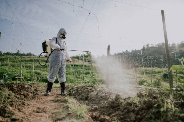 Best Pest Control Cost  in Pine Grove, CA