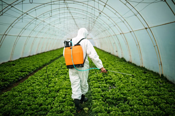 Best Exterminator Services  in Pine Grove, CA